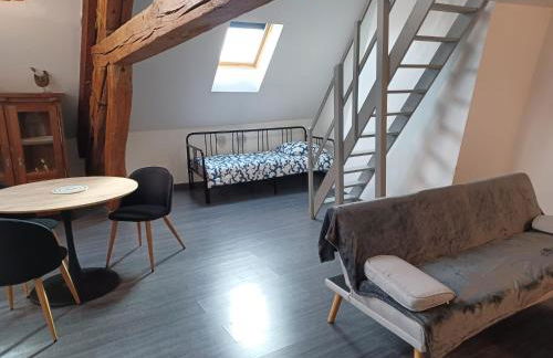 Beaugency-3 sur la route des châteaux - Photo 56