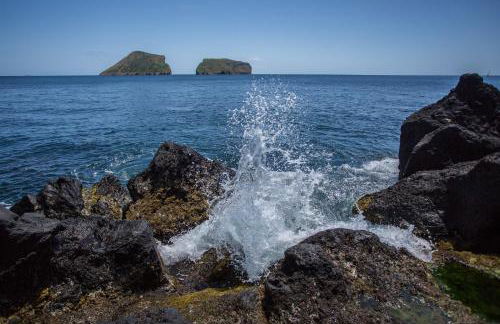 Casa Beira Mar - Photo 28