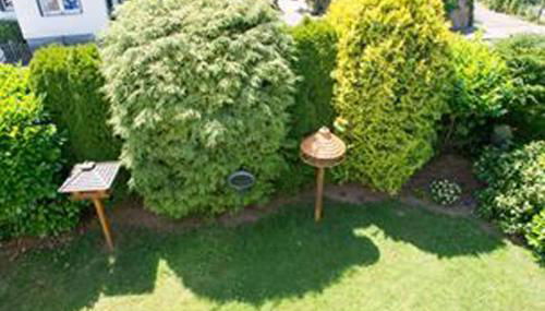 Ferienwohnung Abracadabra - Foto 4, Garden