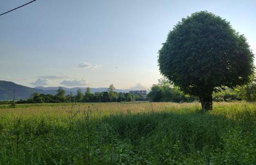 Three Little Birds Artists Residence - Foto 48