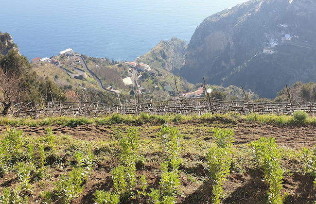 Agriturismo Mare e Monti - Foto 78