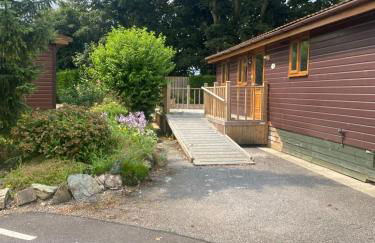 Luxury log cabin with hot tub- York - Foto 16
