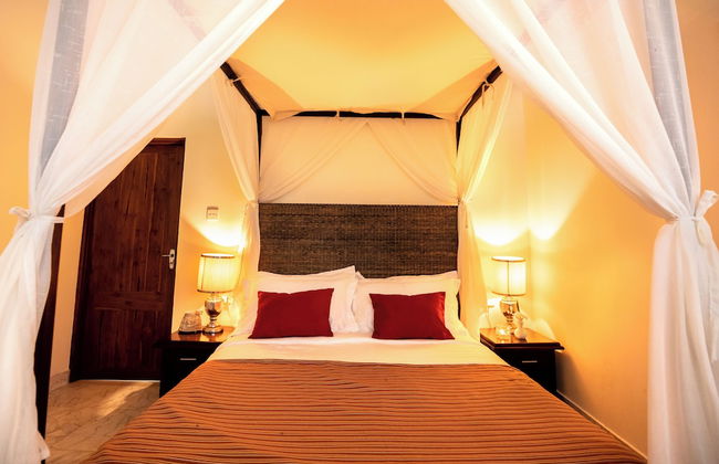 Club Mango - Photo 6