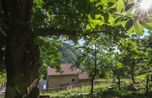 Antichi Sentieri - Foto 68