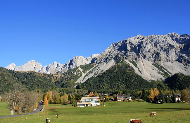 Annis Nest - Foto 16