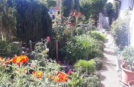 Ferienwohnung Schwarzwaldglück - Foto 24