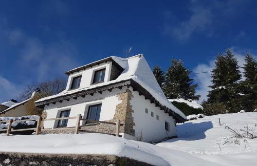 Chalet avec vue panoramique sur le Plomb du Cantal - Foto 29