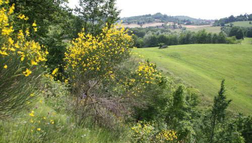 Agriturismo Coradosso "Il Fienile" - Foto 3