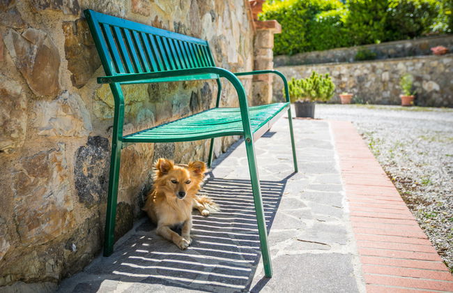 Podere Cafaggiolo - Foto 34