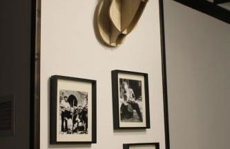 El gallinero de la villana - Foto 6