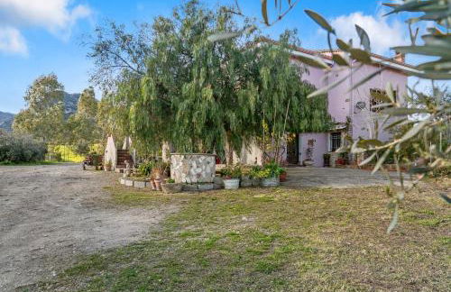 Bruna's House - Foto 19