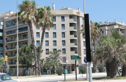 PACIFICO 18 - Photo 56