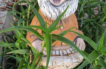 Villa Ilusión - Foto 73