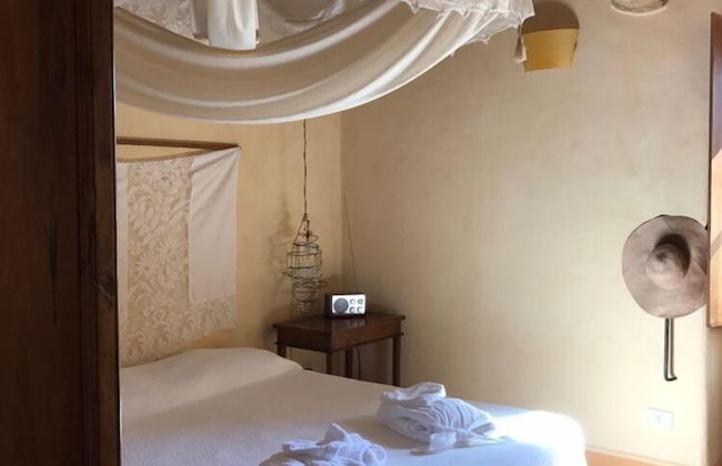 Verdidea - PRUGNOLO - Foto 5