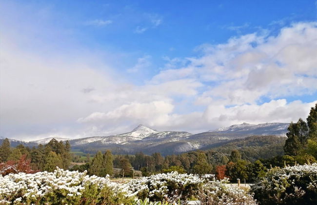 Maydena Mountain Cabins - Foto 38