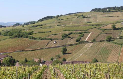 Ces Jours À Pommard - Foto 18