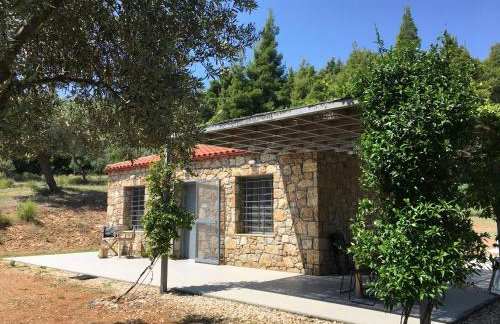 The Ideal Secluded Retreat - Foto 24