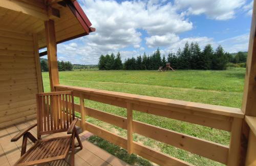 Przystanek Mrzygłód - domki z jacuzzi i sauną - Foto 23