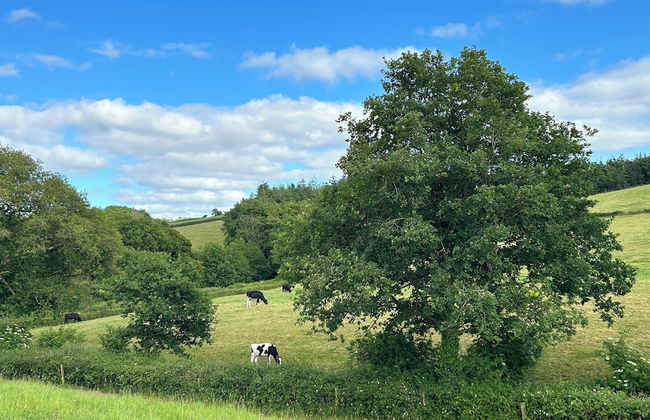 Cosy Devon Hut With Private Hot Tub - Foto 9