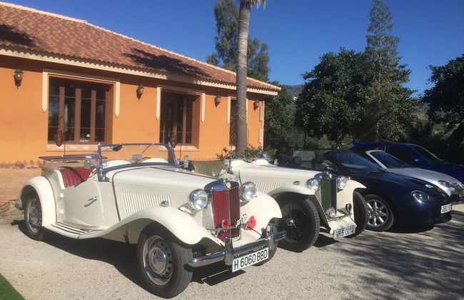 Complejo Turístico Rural Las Mayoralas - Foto 49