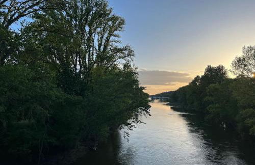 T3 cinéma - Centre historique, bord de Loire - Foto 16