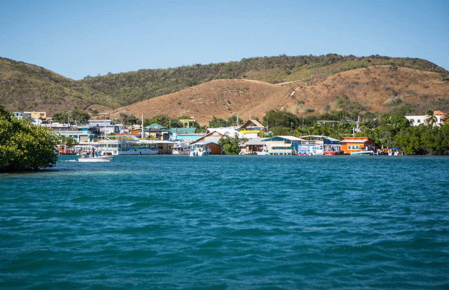 Snorkeling à La Parguera - Photo 3