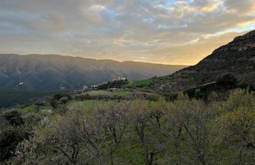 Cal Foraster - Foto 43