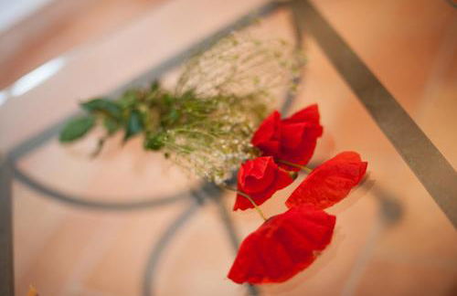 Il Poggiolo ai Casini - Foto 24