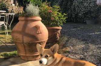 Resort con vista nel Chianti Rufina - Foto 39