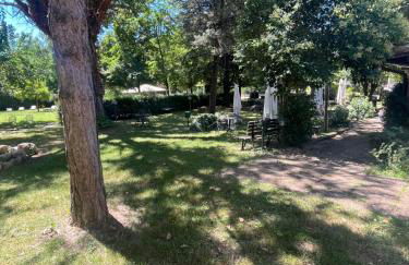 Il Vecchio Mulino - Foto 22