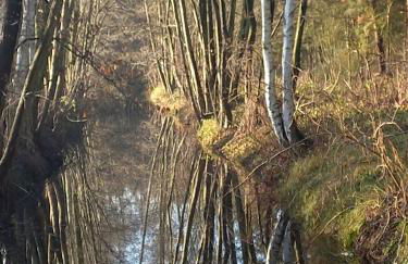 Ferienhof Kchischowka - Foto 16