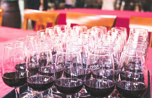 Tour de viñedos y bodegas por el Valle del Duero - Foto 6