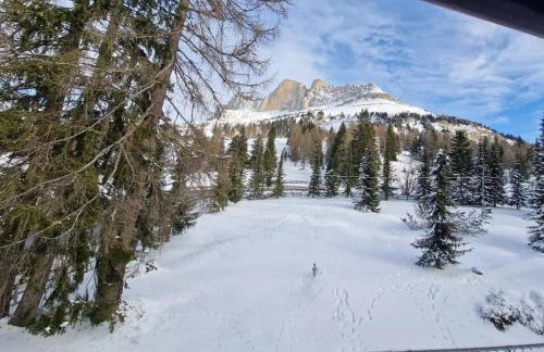 Splendida Carezza - Foto 7