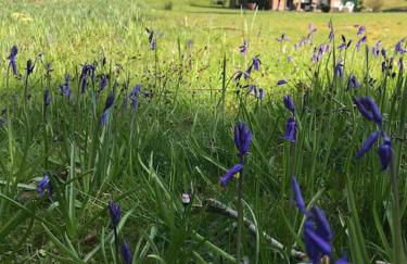 Log cabin rural retreat in beautiful countryside - Foto 5