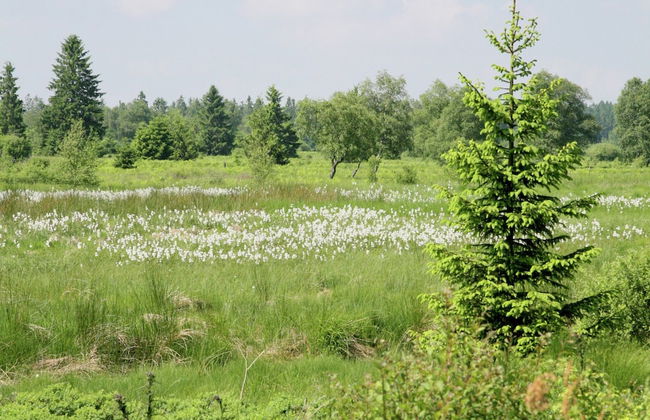 Wellness & Wilderness: Libomont Escape - Foto 38