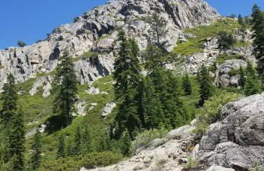 Cozy Mountain Cabin Yosemite Dodge Ridge Ski - Foto 52