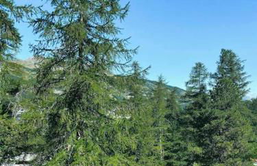 Studio au pied des pistes avec terrasse - Foto 25