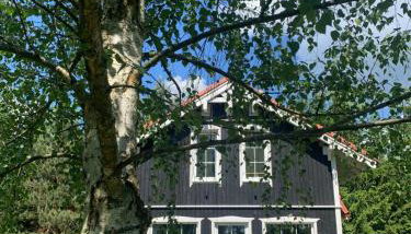 Między Brzozami - Foto 3, Garden