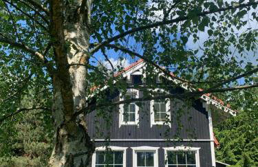 Między Brzozami - Foto 3