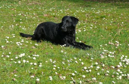 The Motor House - Foto 34