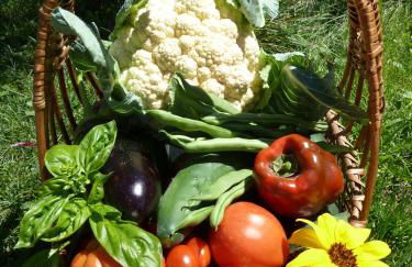 Gfliererhof - Foto 60