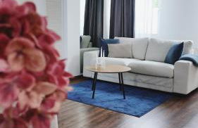 Neu! FeWo Glauchau am Schloss Wlan Netflix Disney - Foto 1