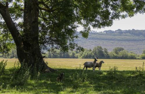 Lower Court Byre - Foto 54