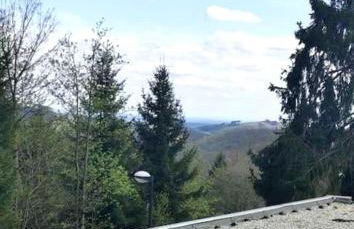 Deluxe Ferienwohnung Winterberg mit private Sauna - Foto 31