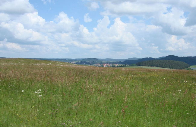 Hillside Cottage Near Winterberg - Foto 22