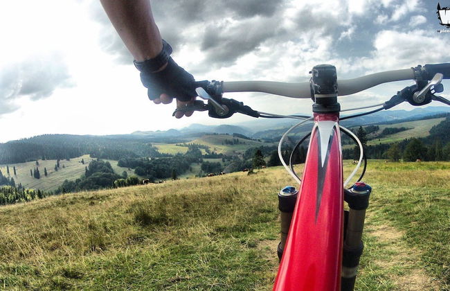 Jaworki Green Dream - Foto 38