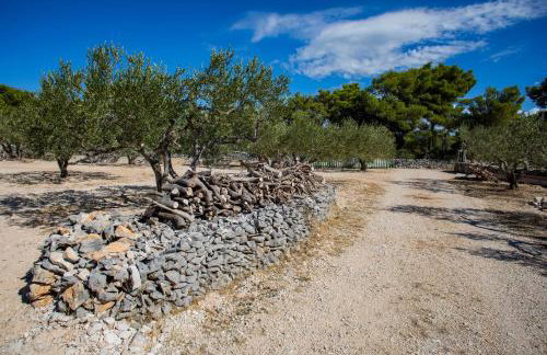 OPG Villa Meri - Foto 50