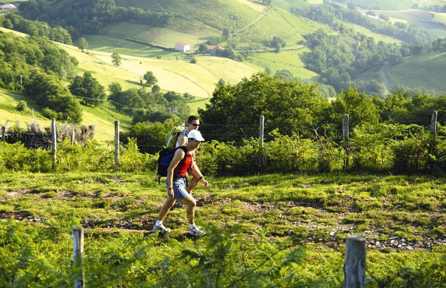 Residence Le Clos D'eguisheim, Eguisheim - Foto 47