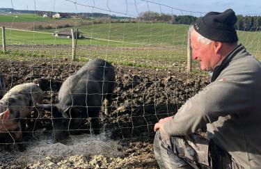 Biohof Liebhart - Photo 39