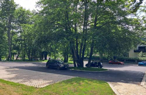 Studio apartman Rose - Foto 27